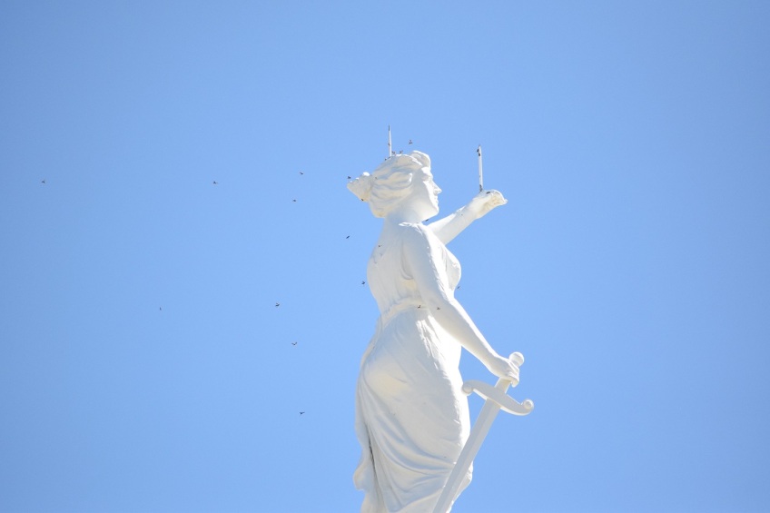 The statue on top of the Milam County Courthouse, with lots of little birds flying around it