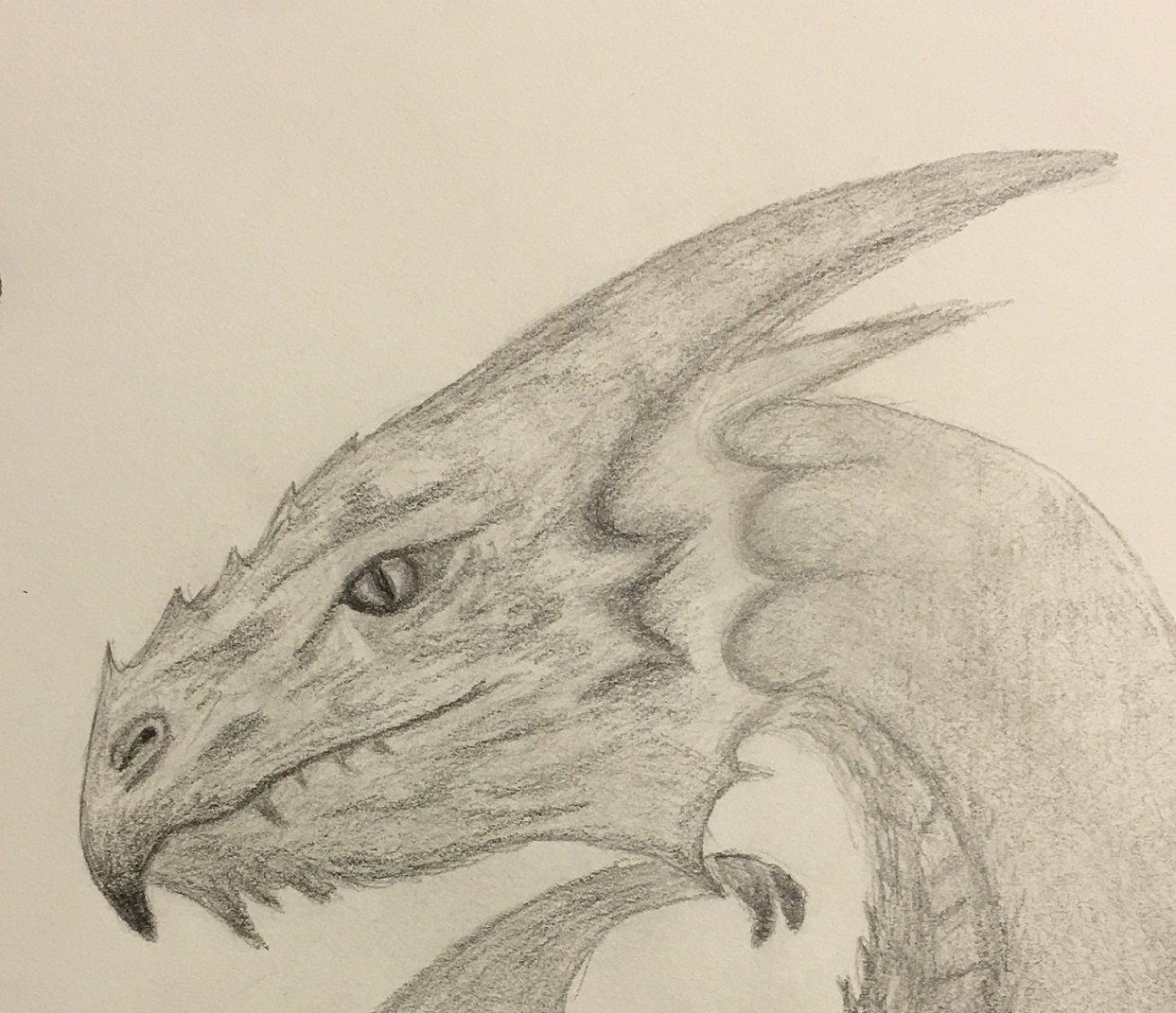 a-dragon-s